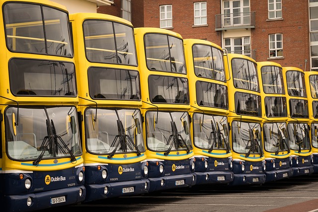 bus-2616074_640.jpg